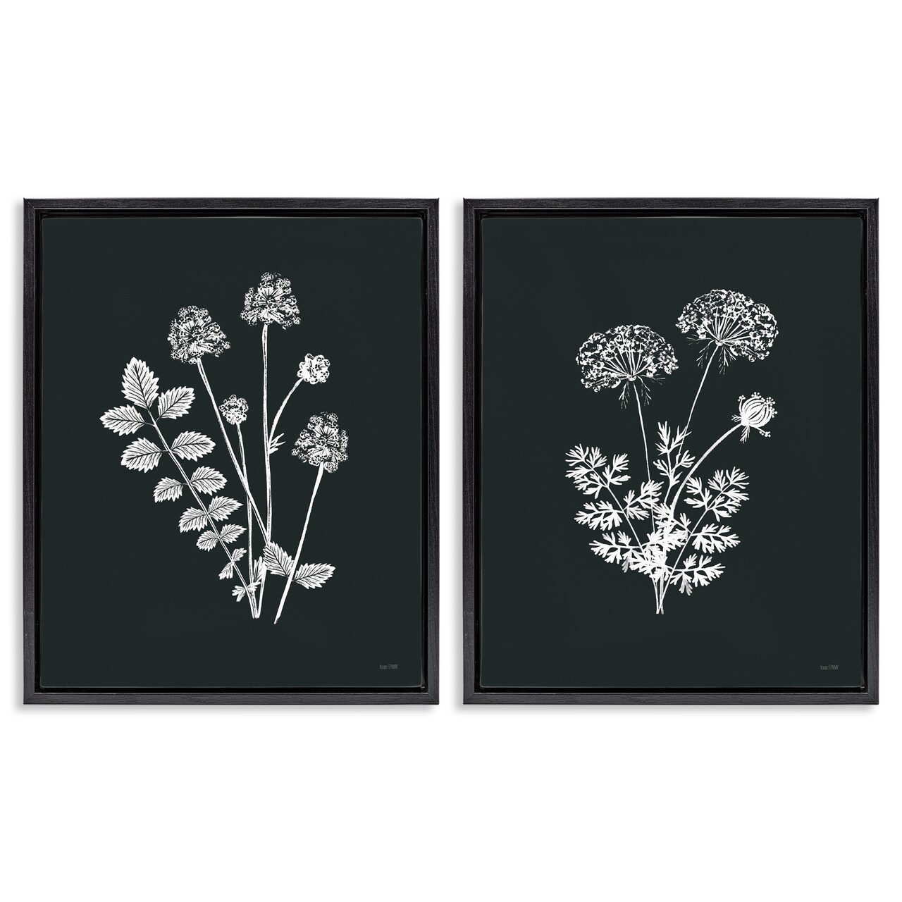Stupell Industries Black and White Flower Cluster 2 pc Framed Floater Canvas Wall Art Set Design by House Fenway
